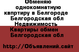 Обменяю однокомнатную квпртиру в Белгороде - Белгородская обл. Недвижимость » Квартиры обмен   . Белгородская обл.